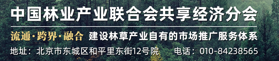 共享經濟