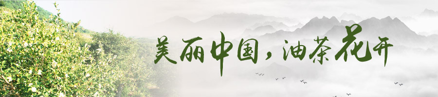 油茶產(chǎn)業(yè)