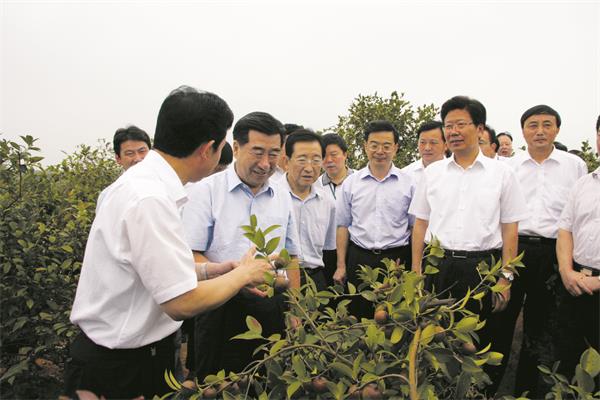 2  2008年9月，回良玉副總理（左二）在湖南省油茶基地考察.jpg
