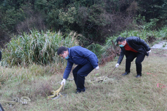 4.30（衡陽市林業(yè)局）勠力同心戰(zhàn)疫情 衡陽林業(yè)在行動1033.png