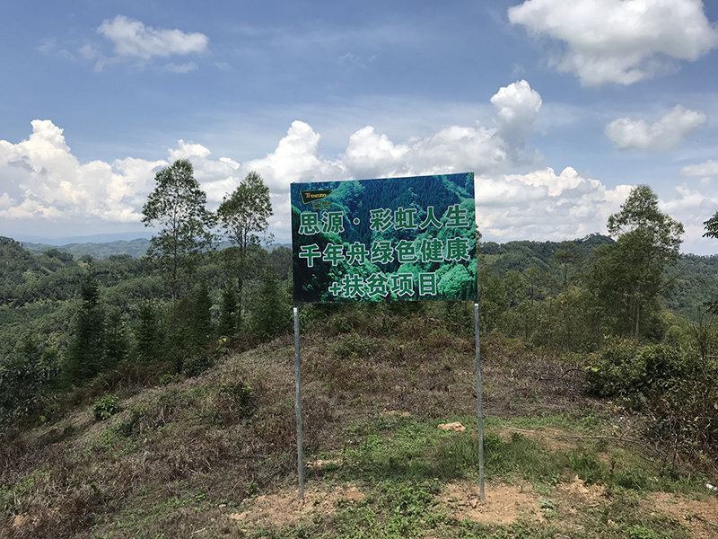 從2007年開始，公司到云南師宗投資，扶持當地林農植樹造林活動，使當地種植林面積由8萬余畝達到110萬畝。.jpg