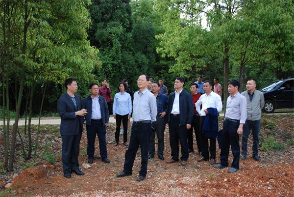 3　　湖北省林業(yè)局局長劉新池率機關工作組到太子山林管局調研林場改革發(fā)展工作。.JPG