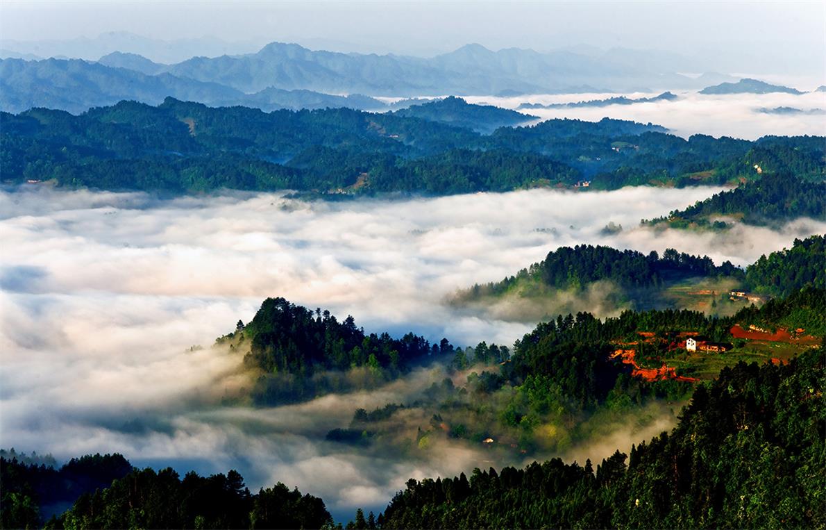 8　　習(xí)水懷胞中的飛鴿林場(chǎng)云海.jpg