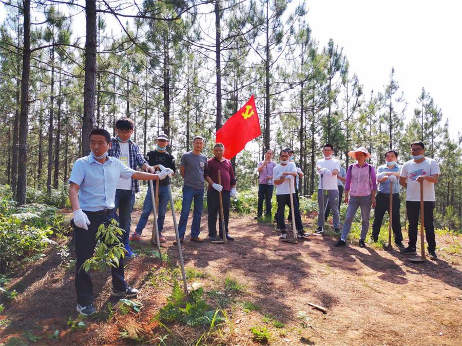 茂源林業(yè)技術(shù)團隊在儲備林建設(shè)項目基地上開展黨建活動.jpg