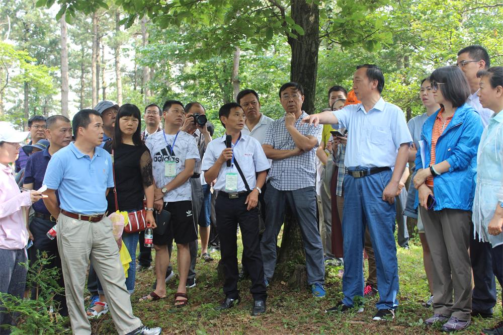 1　　2018年7月，國家林草局在黃柏山林場組織舉辦珍稀植物保護培訓(xùn)活動.jpg