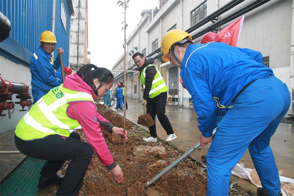 茂源林業聯合黨建植樹活動.JPG