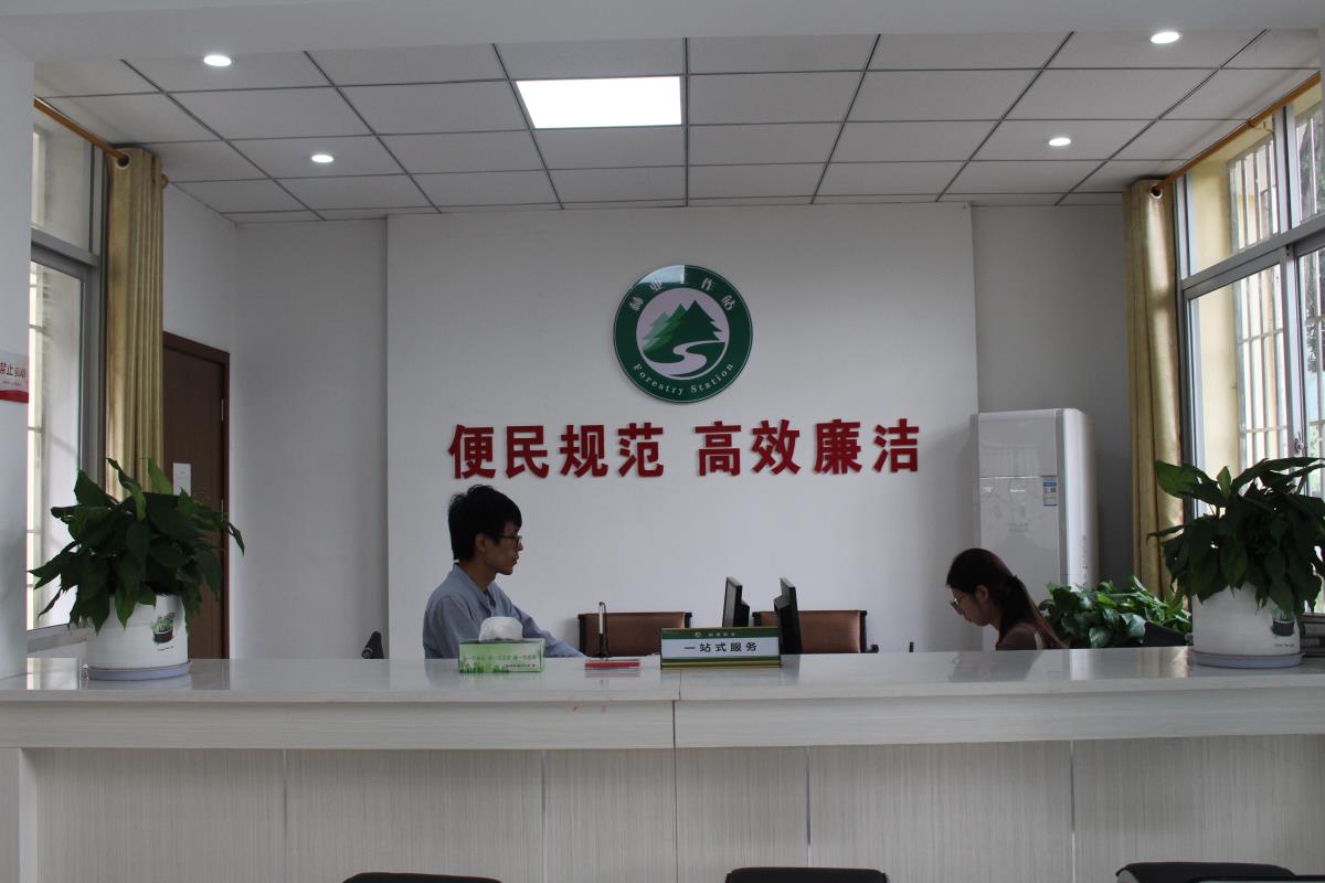 三明市沙縣區(qū)高橋鎮(zhèn)林業(yè)站林業(yè)服務分中心.jpg