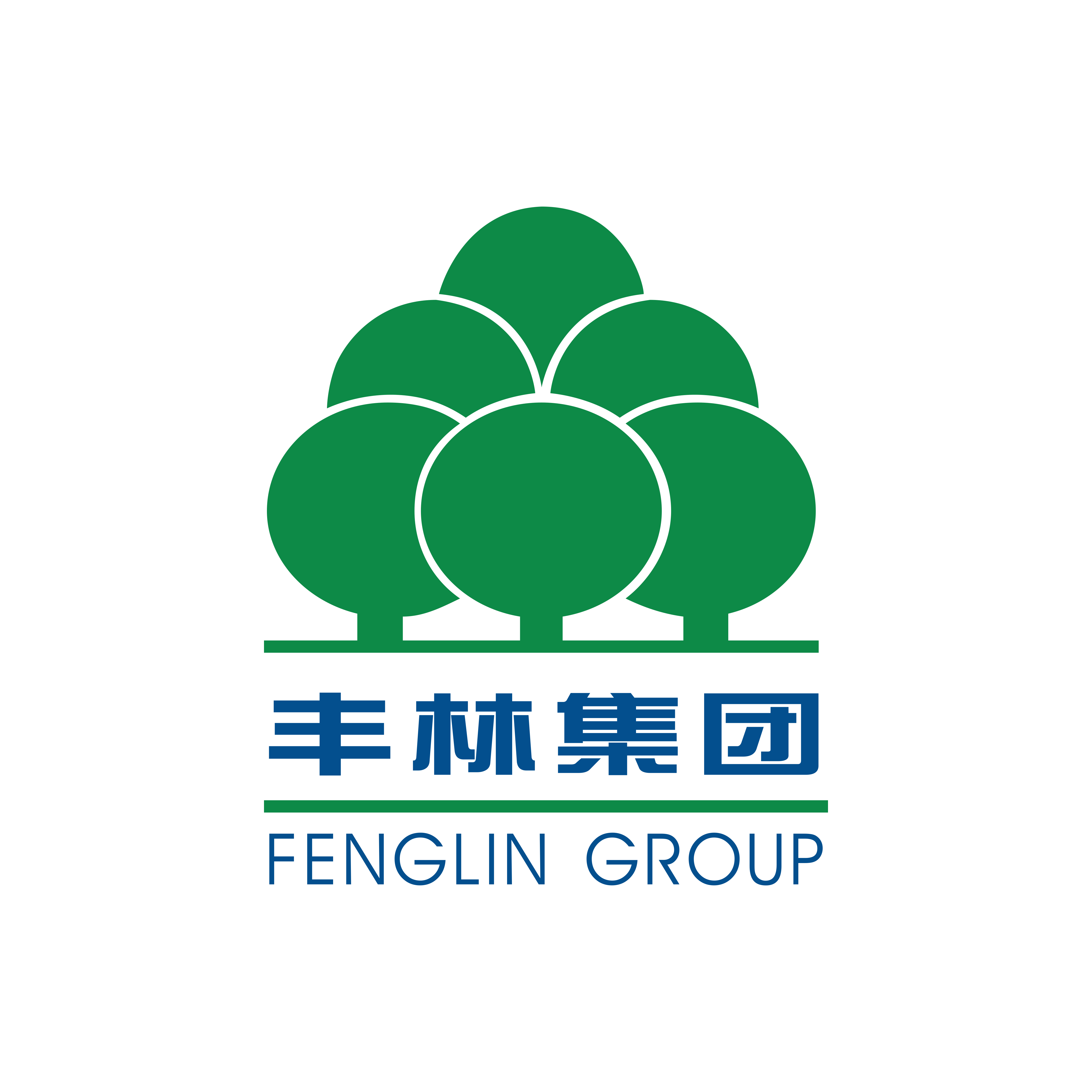 廣西豐林木業集團股份有限公司